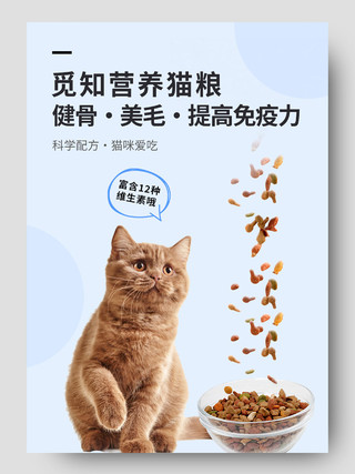 简约时尚风蓝色宠物用品营养猫粮电商店铺详情页模板宠物详情页